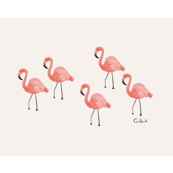 Affiche Flamant rose @bonjourbibiche