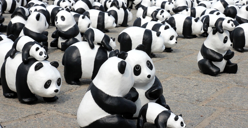 10 idées cadeaux sur le thème du panda